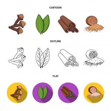Karanfil, defne yaprağı, küçük hindistan cevizi, tarçın. Otlar ve baharatlar koleksiyonu Icons set çizgi film, anahat, düz stil vektör simge stok çizim web.