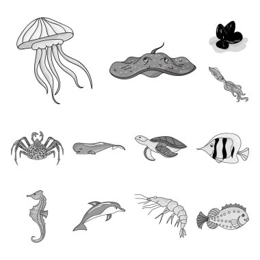 Deniz hayvanları tek renkli simgeler set koleksiyonu tasarım için çeşitli. Balık ve kabuklu deniz ürünleri sembol stok web illüstrasyon vektör.