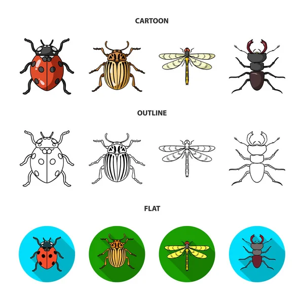 Insect, bug, beetle, paw .Insects set collection icons in cartoon,outline,flat style vector symbol stock illustration web. — Stock Vector