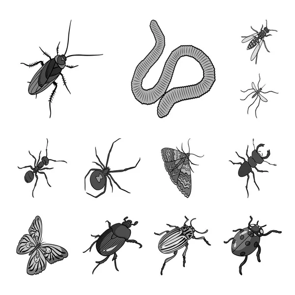 Différents types d'insectes icônes monochromes dans la collection de jeux pour la conception. Insecte arthropode vecteur isométrique symbole stock web illustration . — Image vectorielle