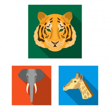 Set koleksiyonu tasarım için vahşi hayvan düz simgeler. Mammal ve kuş sembol stok web illüstrasyon vektör.