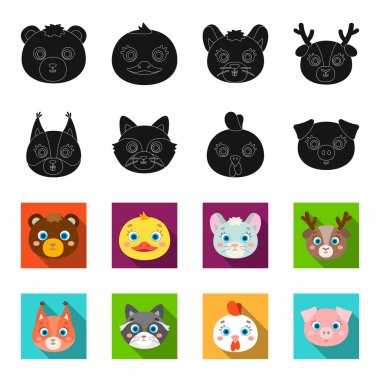 Protein, rakun, tavuk, domuz. Hayvan namlu toplama simgeler siyah, flet stil vektör simge stok çizim web içinde ayarla..