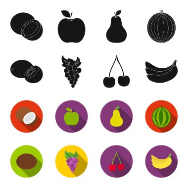 Kivi, üzüm, kiraz, muz. Meyve toplama simgeler siyah, flet stil vektör simge stok çizim web içinde ayarla..
