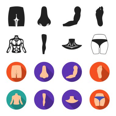 Gövde, bacak, boyun ve kalça. Vücut parçaları toplama simgeler siyah, flet stil vektör simge stok çizim web içinde ayarla..