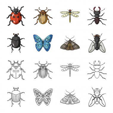Yıkan, parazit, doğa, kelebek. Böcekler toplama simgeler çizgi film, anahat stili vektör simge stok çizim web ayarla..