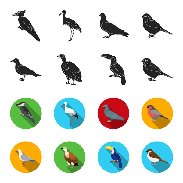 Gaviota, tucán y otras especies. Birds set collection icons in black, flet style vector symbol stock illustration web . — Archivo Imágenes Vectoriales