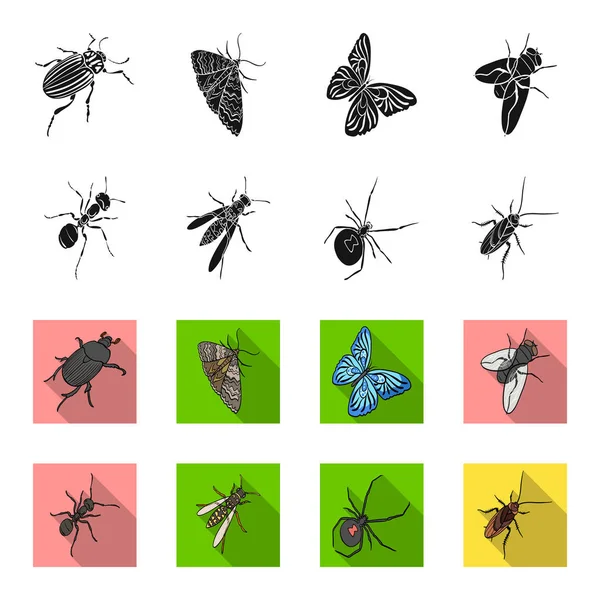 Членистоногий насекомое, Оза, паук, таракан. Насекомые устанавливают иконки коллекции в черной векторной паутине в стиле flet. . — стоковый вектор
