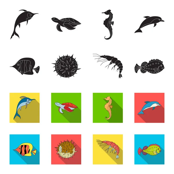 Camarones, peces, erizos y otras especies.Los animales marinos establecen iconos de la colección en negro, el estilo de flet vector símbolo stock ilustración web . — Vector de stock