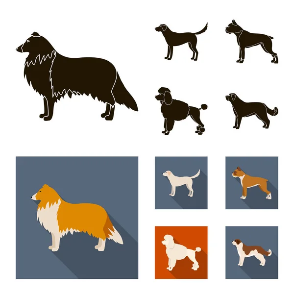 Колли, лабрадор, боксер, пудель. Собаки породы набор значки коллекции в черном, плоском стиле векторные символы фондовые иллюстрации веб . — стоковый вектор