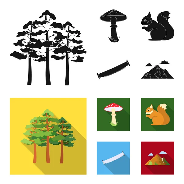 Pinheiro, cogumelo venenoso, árvore, esquilo, serra. Conjunto florestal ícones de coleção em preto, estilo plano símbolo vetorial estoque ilustração web . — Vetor de Stock