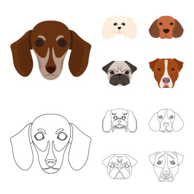 Farklı doğurmak-in köpek ağızlık. Köpek doğurmak dachshund, fino, beagle, pug çizgi film, anahat stili vektör simge stok çizim web toplama simgeler ayarla.