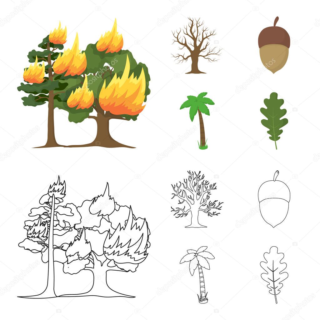 Burning tree, palm, acorn, dry tree.Forest set collection icons in cartoon,outline style vector symbol stock illustration web.