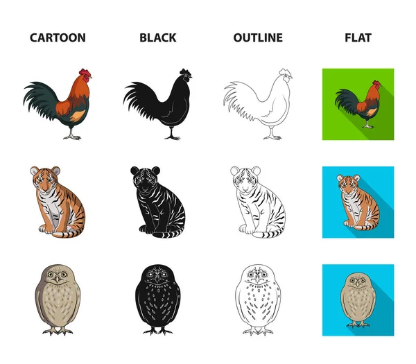 Κόκορας, τίγρης, ελάφι, κουκουβάγια και άλλα ζώα. Ζώα εικόνες συλλογή που σε καρτούν, μαύρο, περίγραμμα, επίπεδη στυλ διάνυσμα σύμβολο μετοχής εικονογράφηση web. — Διανυσματικό Αρχείο