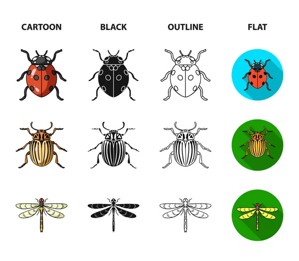 Insect, bug, beetle, paw .Insects set collection icons in cartoon,black,outline,flat style vector symbol stock illustration web. — Stock Vector
