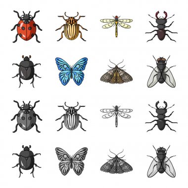 Yıkan, parazit, doğa, kelebek. Böcekler toplama simgeler çizgi film, tek renkli stil vektör simge stok çizim web ayarla..
