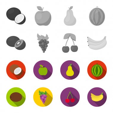 Kivi, üzüm, kiraz, muz. Meyve toplama simgeler tek renkli, düz stil vektör simge stok çizim web ayarla..