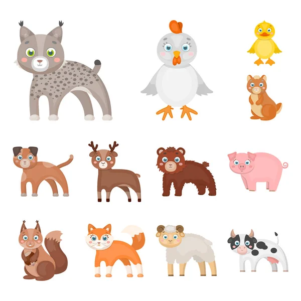 Játék állatok cartoon design set gyűjtemény ikonok. Madár, ragadozó és növényevő vektor szimbólum állomány honlap illusztráció. — Stock Vector