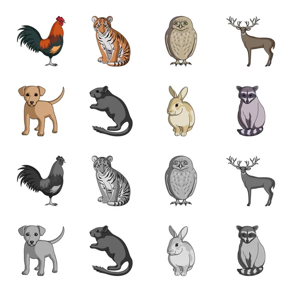 Cachorro, roedor, conejo y otras especies de animales.Los animales establecen iconos de la colección en la historieta, el estilo monocromo vector símbolo stock illustration web . — Vector de stock