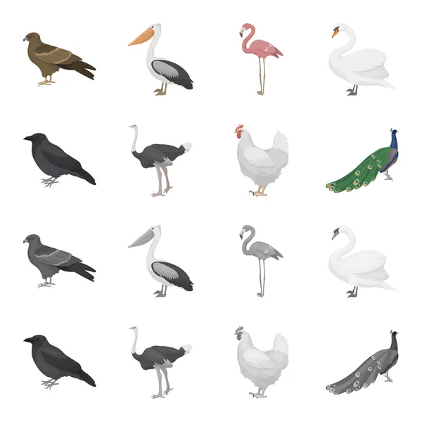 Ворона, страус, курица, павлин. Птицы устанавливают иконки коллекции в мультфильме, монохромный стиль векторных символов фондового иллюстрации веб . — стоковый вектор