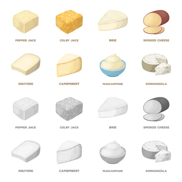 Gruyère, camembert, mascarpone, gorgonzola.Different types de fromage ensemble icônes de la collection dans le dessin animé, monochrome style vectoriel symbole illustration web . — Image vectorielle