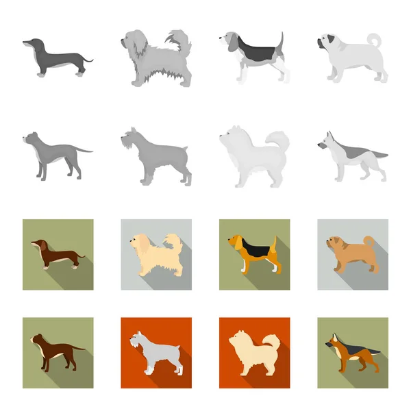 Stier van de kuil, Duitse herder, chow chow, schnauzer. Hondenrassen instellen collectie iconen in zwart-wit, vlakke stijl vector symbool stock illustratie web. — Stockvector