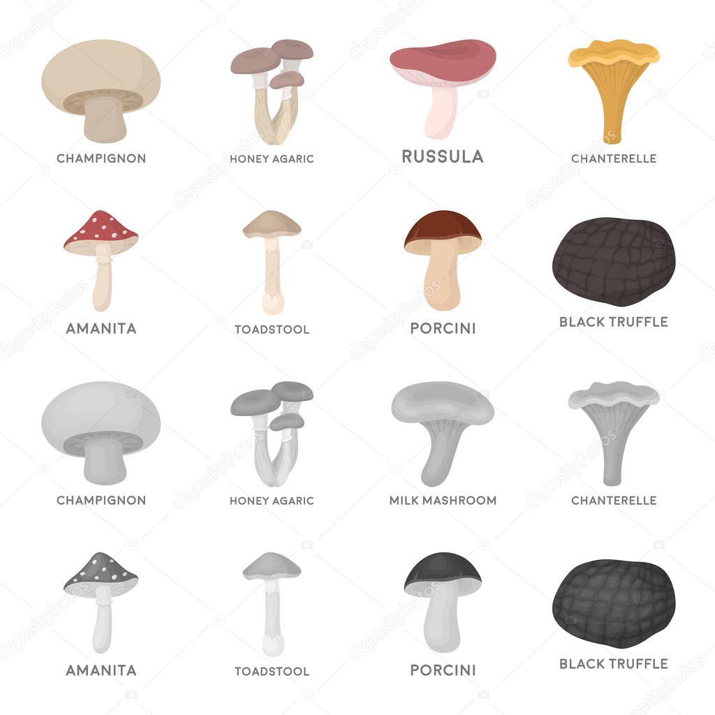 Amanita, porcini, black truffle,toadstool. set collection icons in cartoon,monochrome style vector symbol stock illustration web.