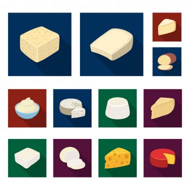 Değişik bir design.Milk ürün peynir vektör simge stok web çizim için küme toplama peynir düz simgeler.