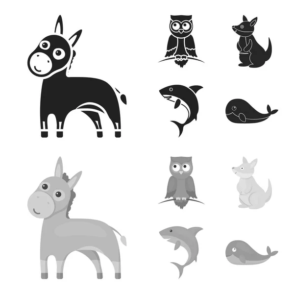 Âne, hibou, kangourou, requin. Ensemble d'animaux icônes de la collection en noir, symbole vectoriel de style monochrome illustration web . — Image vectorielle
