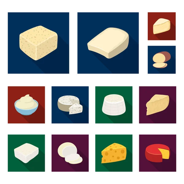 Diferentes tipos de iconos planos de queso en la colección de conjuntos para design.Milk producto queso vector símbolo stock web ilustración . — Archivo Imágenes Vectoriales