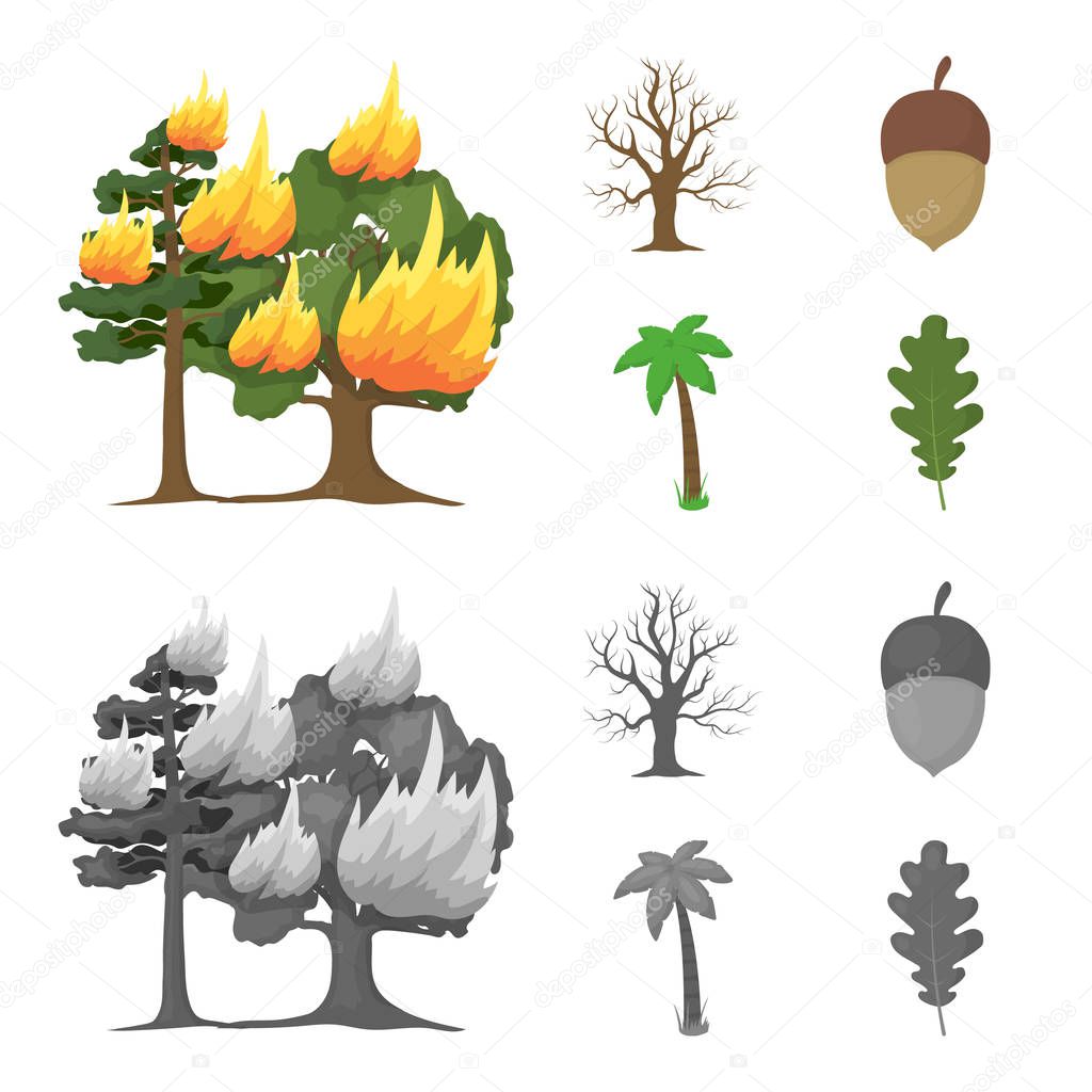 Burning tree, palm, acorn, dry tree.Forest set collection icons in cartoon,monochrome style vector symbol stock illustration web.