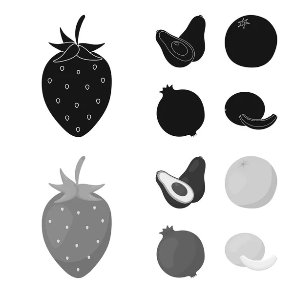 Strawberry, berry, avocado, orange, pomegranate.Fruits set collection icons in black, monochrom style vector symbol stock illustration web . — стоковый вектор