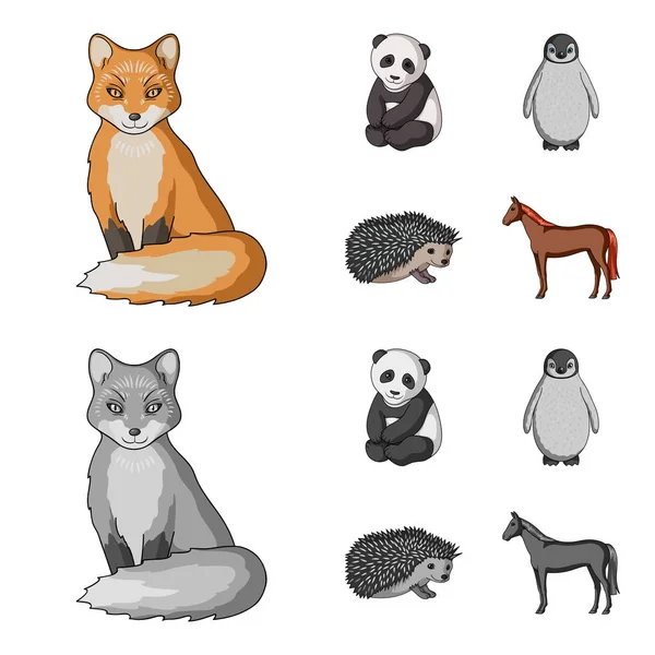 Fox, panda, Jeż, Pingwin i innych zwierząt. Zwierzęta zestaw kolekcji ikon w kreskówce, www ilustracji symbol wektor styl monochromatyczny. — Wektor stockowy