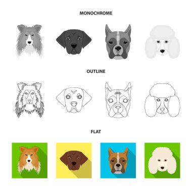 Farklı doğurmak-in köpek ağızlık. St. Bernard, golden retriever, Doberman, Dalmaçyalı doğurmak köpek toplama simgeler koymak düz, anahat, tek renkli stil vektör simge stok çizim web.
