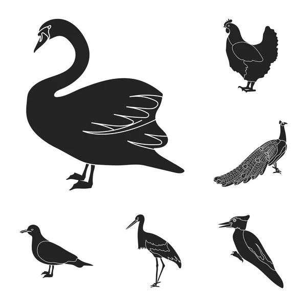 Types of birds black icons in set collection for design. Home and wild bird vector symbol stock web illustration. — Stock Vector