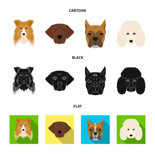 Bozal de diferentes razas de perros. Collie raza perro, lobladore, caniche, boxeador conjunto colección iconos en dibujos animados, negro, plano estilo vector símbolo stock ilustración web . — Archivo Imágenes Vectoriales