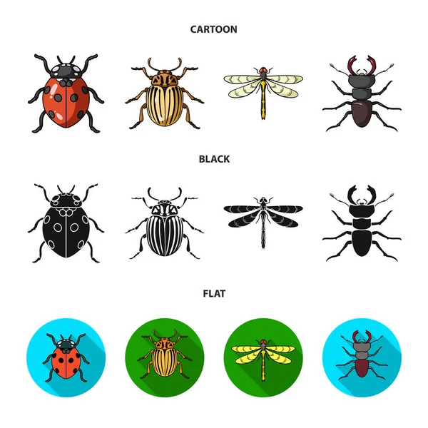 Insecte, insecte, scarabée, patte .Insectes mis icônes de la collection dans la bande dessinée, noir, style plat vectoriel symbole illustration web . — Image vectorielle