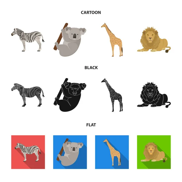 Αφρικανική ζέβρες, ζώων koala, καμηλοπάρδαλη, άγριο αρπακτικό, λιοντάρι. Άγρια ζώα συλλογή εικόνες που σε καρτουν, μαυρες, επίπεδη στυλ διάνυσμα σύμβολο μετοχής εικονογράφηση web. — Διανυσματικό Αρχείο