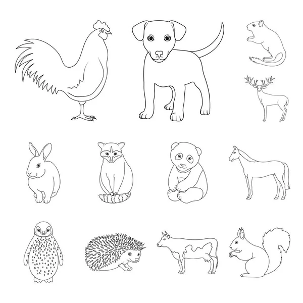 Animais realistas delineiam ícones na coleção de conjuntos para design. Animais selvagens e domésticos símbolo vetorial ilustração web . —  Vetores de Stock