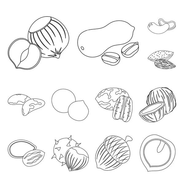 Diferentes tipos de nueces esbozan iconos en la colección de conjuntos para design.Nut Alimento vector símbolo stock web ilustración . — Vector de stock