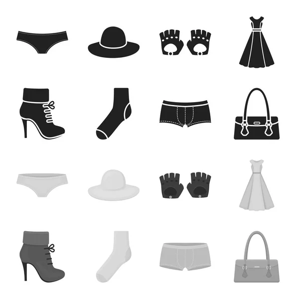 Botas de mujer, calcetines, pantalones cortos, bolso de mujer. Conjunto de ropa colección iconos en negro, estilo monocromo vector símbolo stock ilustración web . — Archivo Imágenes Vectoriales