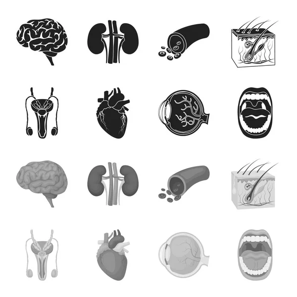男性系、心臓、眼球、口腔内。臓器が黒、白黒スタイル ベクトル シンボル ストック イラスト web でコレクションのアイコンを設定します。. — ストックベクタ
