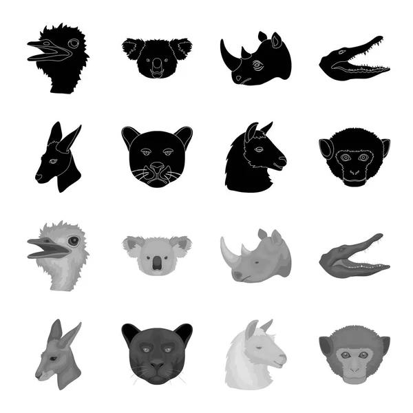 Canguros, llamas, monos, panteras, animales realistas conjunto de iconos de colección en negro, el estilo monocromo vector símbolo stock illustration web . — Vector de stock