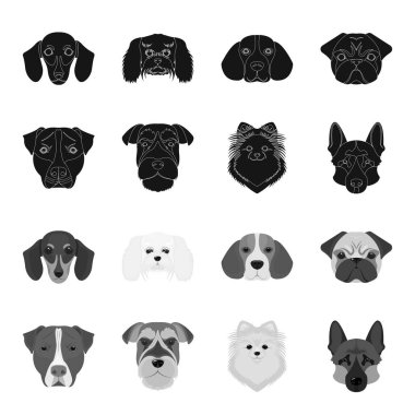 Farklı doğurmak-in köpek ağızlık. Köpek doğurmak Stafford, Spitz, Risenschnauzer, Alman çoban ayarlamak toplama simgeler siyah, tek renkli stil vektör simge stok çizim web içinde.