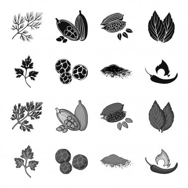 Ptrushka, karabiber, kırmızı biber, biber. Otlar ve baharatlar toplama simgeler siyah, tek renkli stil vektör simge stok çizim web ayarla.