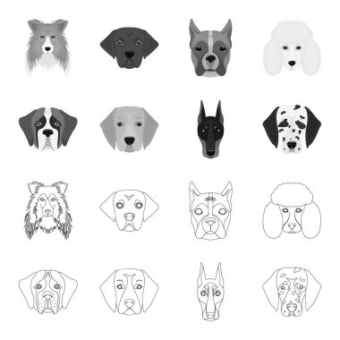 Farklı doğurmak-in köpek ağızlık. St. Bernard, golden retriever, Doberman, Dalmaçyalı doğurmak köpek toplama simgeler anahat, tek renkli stil vektör simge stok çizim web ayarla..