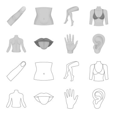 Kişi, ağız, el, kulak arkası. Gövde bölümü anahat, tek renkli stil vektör simge stok çizim web simgeler ayarla.