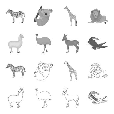 Lama, devekuşu emu, genç antilop, hayvan timsah. Vahşi hayvan, kuş, sürüngen toplama simgeler anahat, tek renkli stil vektör simge stok çizim web ayarla.