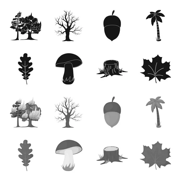Folha de carvalho, cogumelo, toco, folha de ácer. Ícones de coleção de conjunto de floresta em preto, estilo monocromático símbolo vetorial ilustração web . — Vetor de Stock