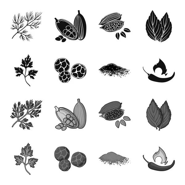Ptrushka, pimenta preta, páprica, chili.Herbs e especiarias conjunto ícones de coleção em preto, estilo monocromático símbolo vetorial web ilustração . — Vetor de Stock