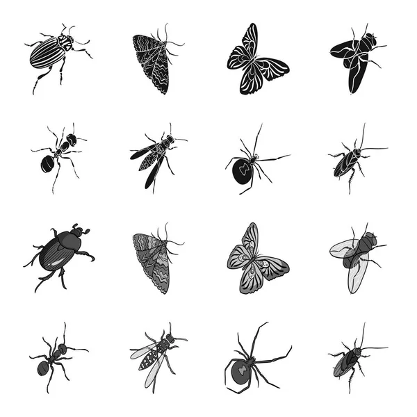 Un arthropode insecte, un osa, une araignée, un cafard. Insectes ensemble icônes de la collection en noir, monochrome style vectoriel symbole stock isométrique illustration web . — Image vectorielle